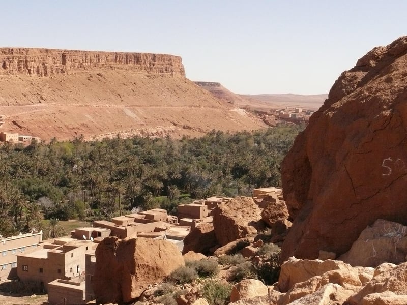 Desert Oasis Ideas