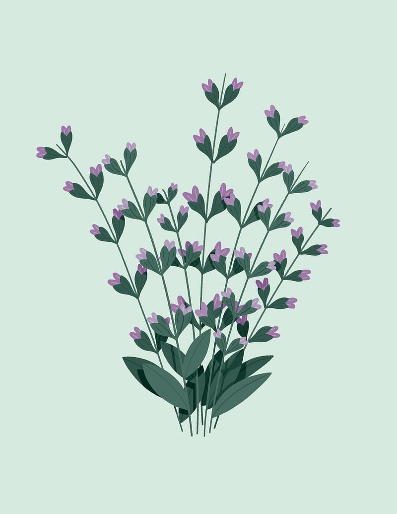 Herb Garden Design
